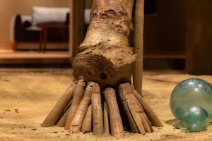 Shiraho Villa Square Court