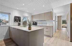 Pet Friendly Home In Ringkøbing