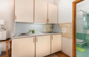 Cozy Apartment In Drazice With Wifi 
