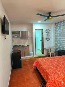 Apartaestudios la terraza 2 - Sahagún