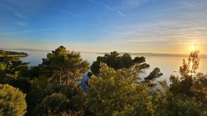 Apartments near the sea Marija 