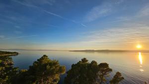 Apartments near the sea Marija 