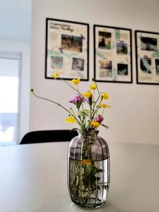 Adventure Oasis Bovec