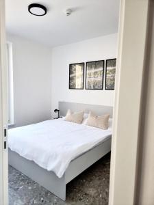 Adventure Oasis Bovec