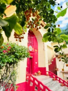 Ferozi House x Padm Lakshmi Palace Arki - Arki