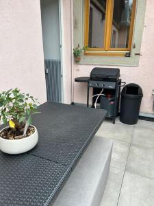Le Hohwald centre appartement terrasse 3 pièces 101