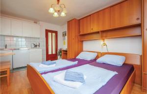 Stunning Apartment In Crikvenica With Wifi 