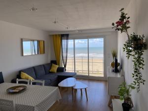 T2bis, petit coin de paradis face à la mer