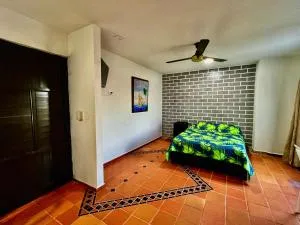 Apartaestudios la terraza 3 - Sahagún