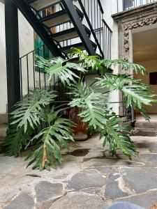 3 deptos en el mismo lugar: Penthouse con doble altura y magnífica arquitectura, Loft con cocina integral y Departamento en planta baja con patio.