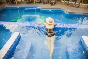 Maya Tulipanes Express