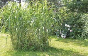 Three-Bedroom Holiday Home With A Fireplace In Melby