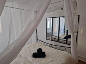 Appartements Spa et lit baldaquin : photos des chambres