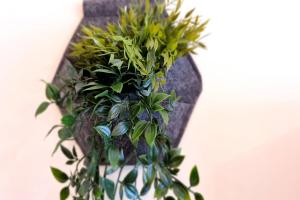 Apartamento la Folixa