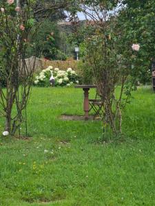 B&B / Chambres d'hotes L-escale champetre : photos des chambres
