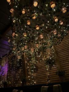 Tentes de luxe Bulles d'Auvergne : photos des chambres