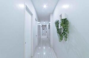 RedDoorz near G Mall Bajada Davao