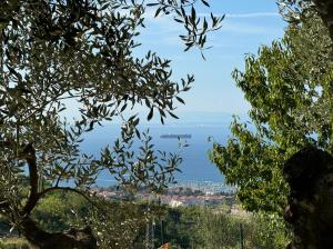 OLIVES HOUSE in Izola