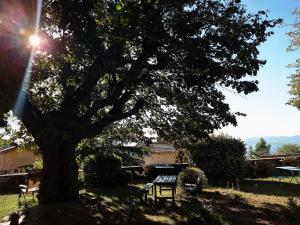 Chateau De Riverie chambres et table dhĂ´tes