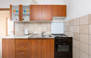 Lovely Apartment In Rasopasno With Wifi