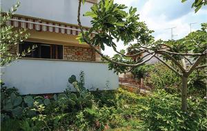 Apartment Vcemina Vi