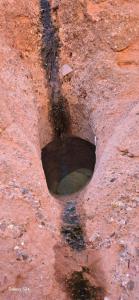 Camping Restaurant Pattes des singes