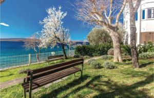 Stunning Apartment In Selce With Wifi 