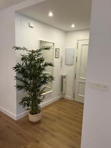 Apartamento Turismo Granada