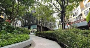 THE BASE CENTRAL Phuket Shopping Mall Central Floresta