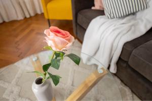 * Le Provençalcosy flat 3 min walk from the sea
