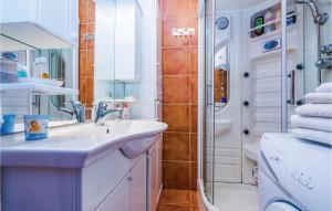 Pet Friendly Home In Ledenice With Kitchen 
