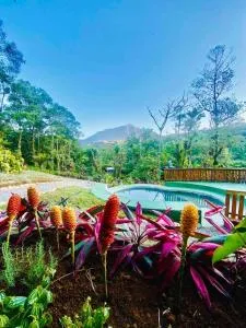 Linda Casa com piscina exclusiva e vista para a Serra do Mar - Cacutu