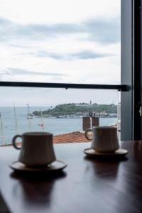 Modern Two-Bedroom Flat with Stunning Bosphorus View