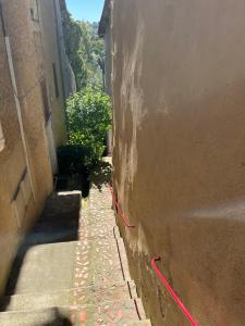 Le Tapis Vert - Loft avec jardin