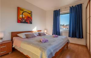 Gorgeous Apartment In Pakostane With Wifi 