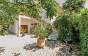 Apartment Vodnjan Mn-1902