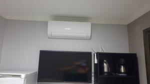 Studio Pet Friendly 02