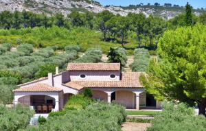 Les Pins De La Fee