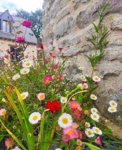 Maisons de vacances Gite Le Karrdi : photos des chambres