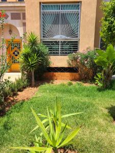 Ricoflorès palm benslimane