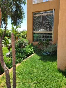 Ricoflorès palm benslimane