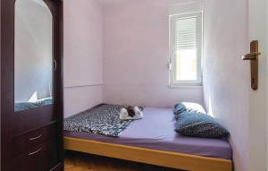 Apartment Split Ix