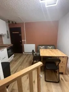 Studio souplex refait à neuf au pied des pistes - 奥尔西埃