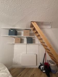 Appartements Studio souplex refait a neuf au pied des pistes : photos des chambres