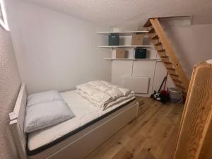 Appartements Studio souplex refait a neuf au pied des pistes : photos des chambres