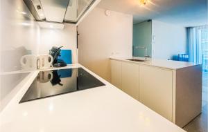 Gorgeous Apartment In Blankenberge