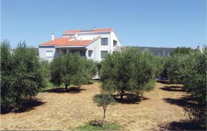 Lovely Apartment In Bibinje With Wifi 