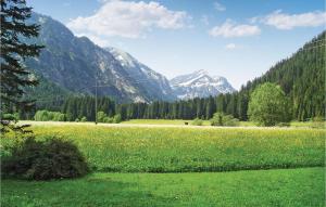 Attraktives Ferienhaus Tannhe