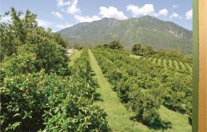 Maisons de vacances Awesome Home In Santa Maria Poggio : photos des chambres