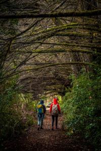 Hotel Termas Puyehue Wellness & Spa Resort